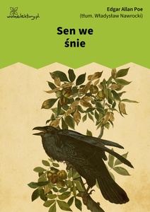 Poe, Poezje, Sen we śnie