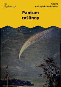 Radczyńska, Kometa zawraca, Pantum roślinny
