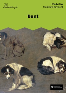 Reymont, Bunt