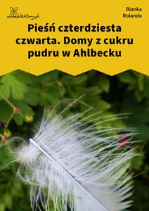 Rolando_Biała_książka_Domy_z_cukru_pudru_w_Ahlbecku