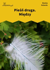 Rolando_Biała_książka_Między