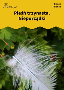 Rolando_Biała_książka_Nieporządki
