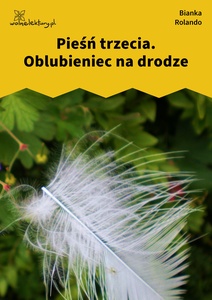 Rolando_Biała_książka_Oblubieniec_na_drodze