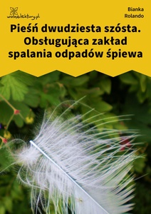 Rolando_Biała_książka_Obsługująca_zakład_spalania_odpadów_śpiewa