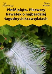 Rolando_Biała_książka_Pierwszy_kawałek_o_najbardziej_łagodnych_krawędziach