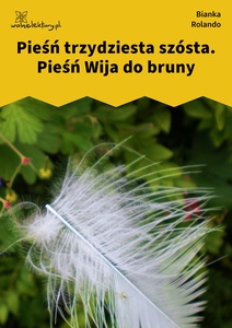 Rolando_Biała_książka_Pieśń_Wija_do_bruny