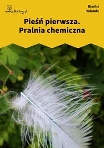 Rolando_Biała_książka_Pralnia_chemiczna