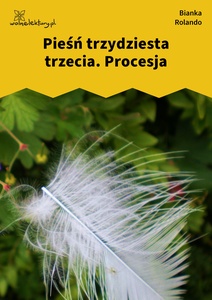 Rolando_Biała_książka_Procesja