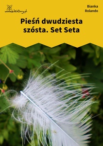 Rolando_Biała_książka_Set_Seta