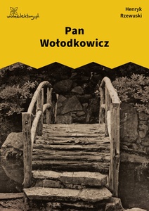 Rzewuski, Pamiątki Soplicy, Pan Wołodkowicz