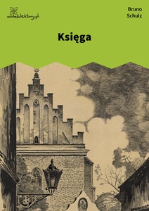 Schulz, Sanatorium pod Klepsydrą, Księga