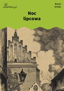 Schulz, Sanatorium pod Klepsydrą, Noc lipcowa