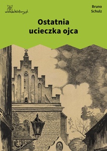 Schulz, Sanatorium pod Klepsydrą, Ostatnia ucieczka ojca