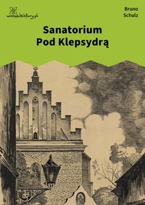 Schulz, Sanatorium pod Klepsydrą, Sanatorium pod Klepsydrą