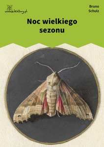 Schulz, Sklepy cynamonowe, Noc wielkiego sezonu