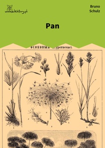 Schulz, Sklepy cynamonowe, Pan