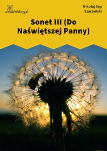 Sęp Szarzyński, Sonet III (Do Naświętszej Panny)