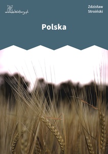 Stroiński, Polska