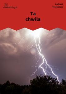 Trzebiński, Ta chwila