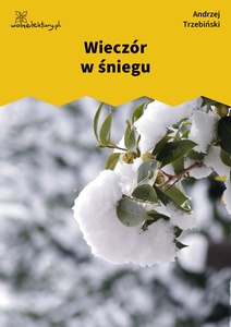 Trzebiński, Wieczór w śniegu