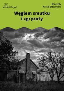 Brzozowski W., Węglem smutku i zgryzoty